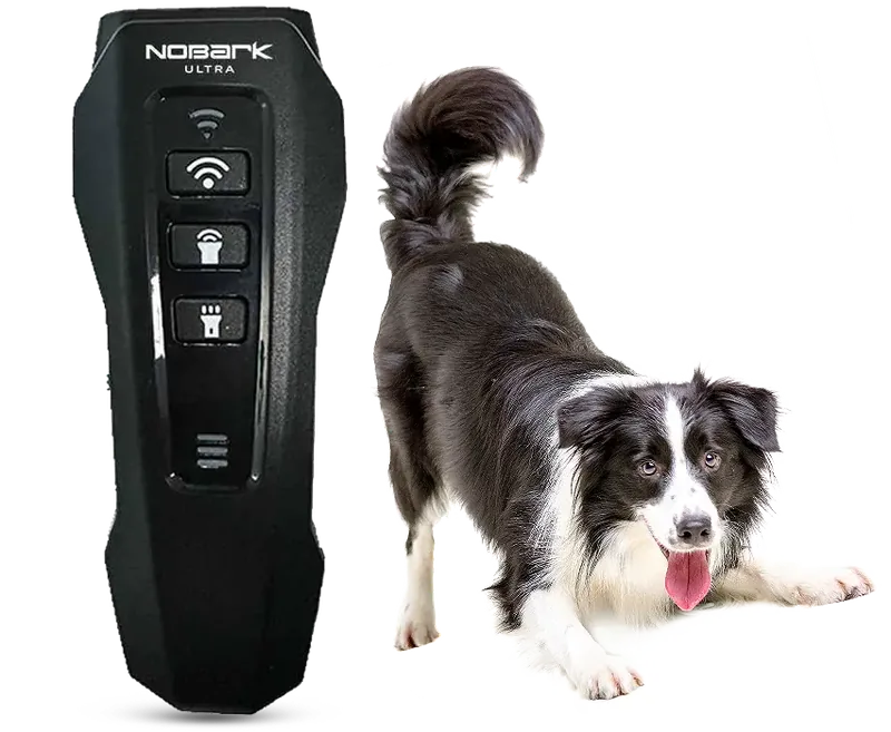 NoBark Ultra handheld ultrasonic trainer next to a border collie